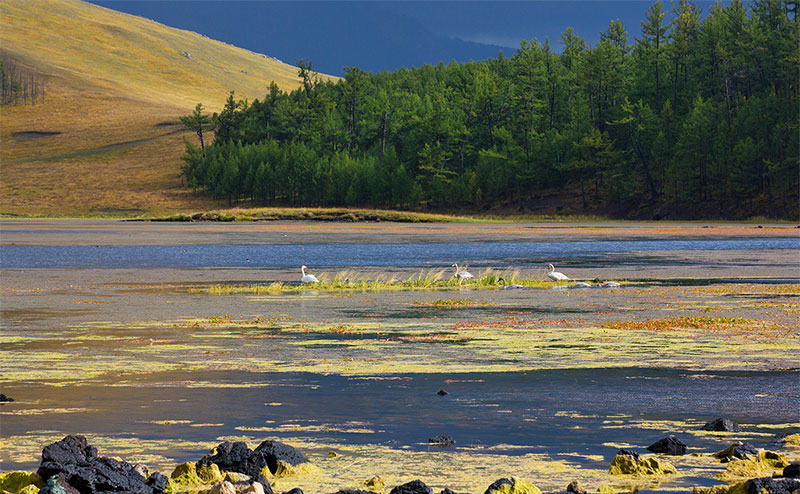 autumn beautiful photos 